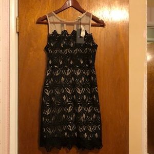Lace black dress